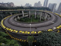 Tapeta National Geographic 456.jpg